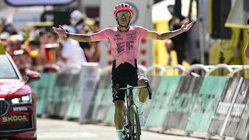 Richard Carapaz se queda con la etapa 17 del Tour de Francia