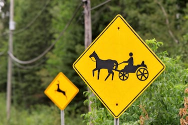 Señales de cruce de caballos y carruajes al costado de la carretera en Powassan, Ontario, Canadá, donde hay una gran población de residentes menonitas y Amish.
