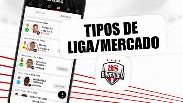 Tipos de ligas existentes en Biwenger en función del mercado