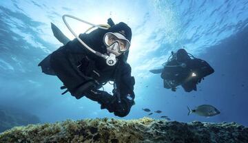 Visita las profundidades del mar en tu clase de buceo.