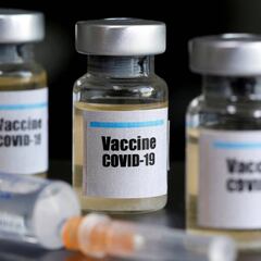 Coronavirus could go away before vaccine is ready
