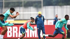 ¿Baja en Brasil? La inesperada ausencia que tendría Ancelotti contra Chile