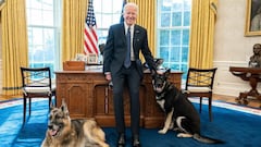 &lsquo;Champ&rsquo;, uno de los perros de la familia Biden, muri&oacute; este 19 de junio a los 13 a&ntilde;os. El &ldquo;amado&rdquo; pastor alem&aacute;n del presidente falleci&oacute; pac&iacute;ficamente en casa.