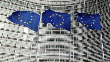 FILE PHOTO: European Union flags fly outside the European Commission in Brussels, Belgium November 8, 2023. REUTERS/Yves Herman/File Photo