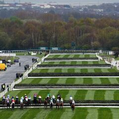 El 175º Grand National