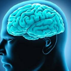 Un neurobiólogo rejuvenece su cerebro 10 años tras superar la adicción a la heroína