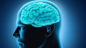 Un neurobi車logo rejuvenece su cerebro 10 a?os tras superar la adicci車n a la hero赤na