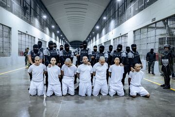 La administracin Trump deport el pasado 31 de marzo a El Salvador a 17 personas acusadas de pertenecer a las organizaciones criminales Tren de Aragua y MS-13. La deportacin se produce en el marco de un acuerdo entre Washington y El Salvador para trasladar all a los inmigrantes que segn la administracin americana pertenecen a grupos delictivos pese a que dos fallos judiciales prohibieran las deportaciones exprs basadas en la Ley de Enemigos Extranjeros.