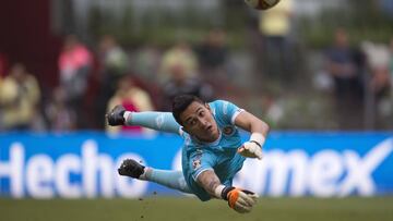 Raúl Gudiño, Chivas