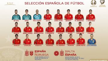 La lista de Espa?a: Fabi¨¢n Ruiz, Jes¨²s Navas, Canales, Jaime Mata, Parejo y Muniain, novedades