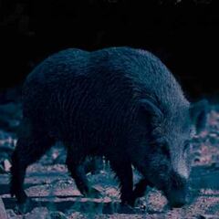 Preparados, listos… ¡Nos vamos de espera!