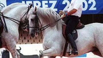 <b>TODO LISTO. </B/>Entrenamientos previos del Mundial de Juegos ecuestres.