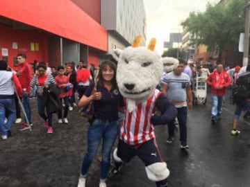 Así se vivió el ambiente previo al partido de ida de Semifinales entre los Diablos Rojos y el cuadro tapatío en el Estadio Nemesio Diez.