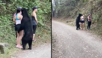 Un oso negro acosa a unas chicas en Chipinque Ecological Park in San Pedro Garza Garc&iacute;a, Mexico.