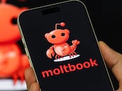 Crean una red social solo para IA y establecen su propia religión, gobierno y economía: “Es lo más increíble y cercano a la ciencia ficción que he visto”