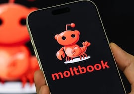 Crean una red social solo para IA y establecen su propia religión, gobierno y economía: “Es lo más increíble y cercano a la ciencia ficción que he visto”