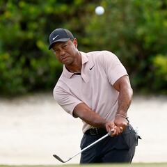 A Tiger se le hace largo el regreso, aunque da esperanzas