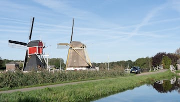 A wide angle shot of two windmills surrounded by trees and vegetation under a clear blue sky