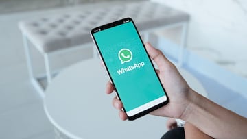 Bono de $45.000 de ANSES: ¿puedo tramitarlo por WhatsApp? ¿Cómo?