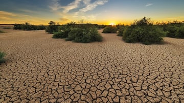There are areas of the country that are at risk of experiencing draught in the coming years. A look at how drought is already affecting the areas.