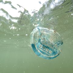 Why is Earth Day always on 22 April?