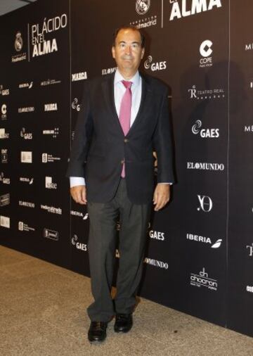 Alfombra roja del concierto en el Estadio Santiago Bernabéu "Plácido en el Alma"