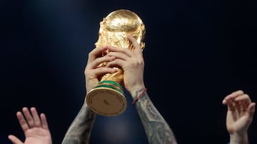 Durante la final de Argentina vs. Francia en el Mundial de Qatar, una aficionada argentina hizo topless, por lo que la escoltaron fuera del estadio: ¿Irá a prisión?