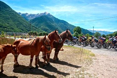 Los 144 kilómetros que separaban Morbegno de Cesano Maderno en la 18ª etapa de la 108ª edición del Giro de Italia contaron con animación variopinta en la cuneta de las carreteras. En la imagen, varios caballos están atentos al paso del pelotón ciclista en una carrera que tiene al mexicano Del Toro como líder a falta de tres etapas para la finalización.