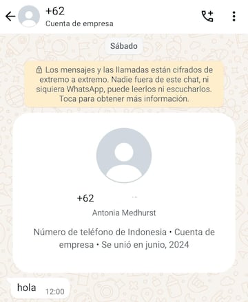 Imagen chat estafa WhatsApp