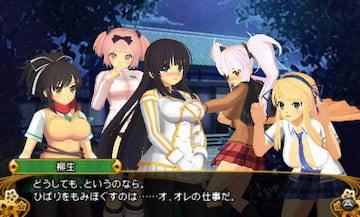 Captura de pantalla - Senran Kagura 2: Deep Crimson (3DS)