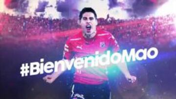 Regresa el ídolo: Mao Molina es nuevo jugador del Medellín