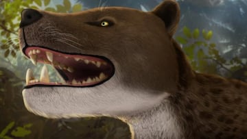 Desentierran en Egipto al Bastetodon syrtos, un feroz depredador de hace 30 millones de años que reinó antes de leones y tigres