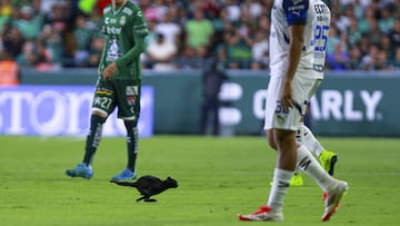 Cat Black during the 17th round match between Leon and Monterrey as part of the Liga BBVA MX, Torneo Clausura 2025 at Nou Camp Leon Stadium, on April 20, 2025 in Leon, Guanajuato, Mexico.