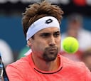 David Ferrer supera a Tomic en su estreno en Australia
