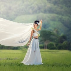 Una novia se fuga de su boda concertada y rápidamente encuentran a una sustituta entre la familia