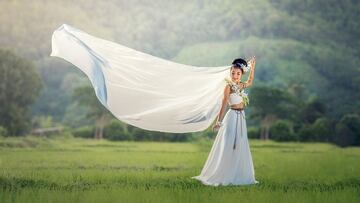 Una novia se fuga de su boda concertada y rápidamente encuentran a una sustituta entre la familia