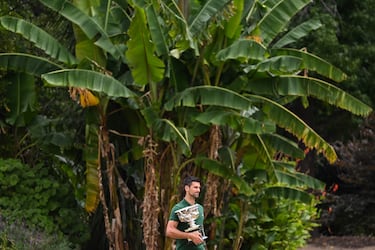 Se coloca en la cuarta plaza de la lista histórica de trofeos ATP (93), por delante, aquí sí, de Nadal (92).
