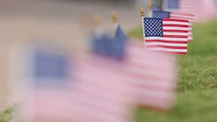 Scientists reveal which language will surpass English in the United States and say when it will happen