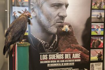 Foto de uno de los halcones de Jorge y el cartel del documental.