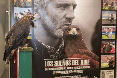 "Los sue?os del aire'', historia de un halconero: Jorge Casta?o