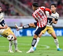 Pumas vs Chivas: TV, horario; cómo y dónde ver la Jornada 10 del Clausura 2025, Liga MX