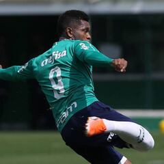 Miguel Borja sigue sin contar en Palmeiras para el nuevo técnico