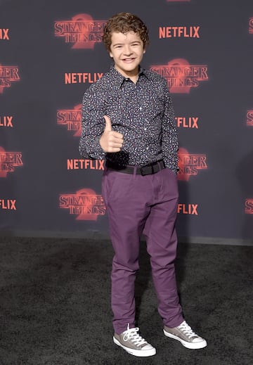 El actor que interpreta a Dustin Henderson en 2017.