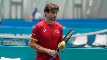 David Ferrer.