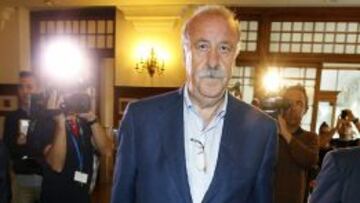 El seleccióonador nacional de Fútbol, Vicente del Bosque.
