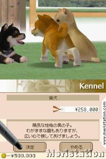 Captura de pantalla - nintendogs_05.jpg