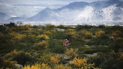 La undécima etapa del Dakar en imágenes