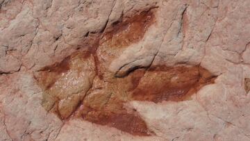 Dinosaur track near Tuba City in Arizona