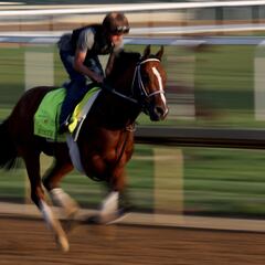 Camino al Derby de Kentucky: ¿Cómo se clasifican los caballos para la carrera?