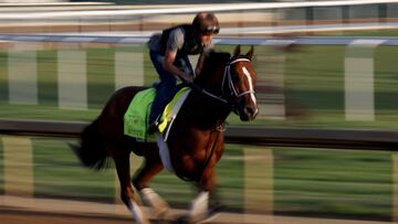 LOUISVILLE, KENTUCKY - MAY 02: Mystik Dan trains on the track during morning workouts ahead of the 150th running of the Kentucky Derby at Churchill Downs on May 02, 2024 in Louisville, Kentucky.   Rob Carr/Getty Images/AFP (Photo by Rob Carr / GETTY IMAGES NORTH AMERICA / Getty Images via AFP)